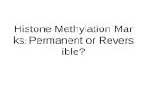 Histone Methylation Marks :  Permanent or Reversible?
