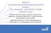 MexCo An Intercultural International Online Project  CU, Warwick  and FESZ-UNAM (Mexico City)