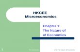 HKCEE  Microeconomics