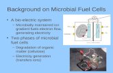 Background on Microbial Fuel Cells