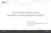 Demand Side Working Group Economic Demand Repsonse in SCED