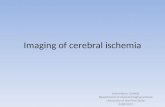 Imaging of cerebral ischemia