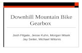 Downhill Mountain Bike Gearbox