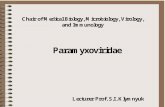 Family Paramyxoviridae  Subfamily Paramyxovirinae: Genes :  Morbillivirus  –  measles virus,