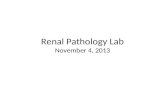 Renal Pathology Lab November 4, 2013