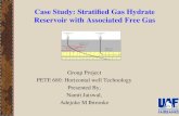 Case Study: Stratified Gas Hydrate Reservoir with Associated Free Gas
