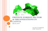 Private forest sector & organizations in latvia