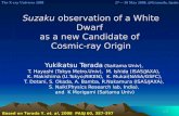 Suzaku  observation of a White Dwarf  as a new Candidate of  Cosmic-ray Origin