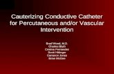 Cauterizing Conductive Catheter for Percutaneous and/or Vascular Intervention