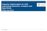 Capacity Optimization for Self-organizing Networks: Analysis and Algorithms