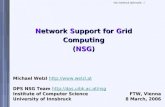 N etwork  S upport for  G rid Computing ( NSG )
