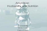 Amphibian  Husbandry and Nutrition