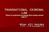 TRANSNATIONAL CRIMINAL LAW “There is no fortress so strong that money cannot take it”
