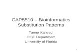 CAP5510 – Bioinformatics Substitution Patterns