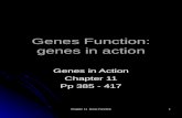 Genes Function: genes in action