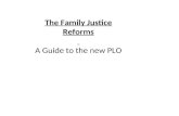 The Family Justice Reforms A Guide to the new PLO
