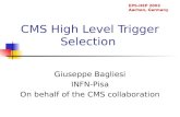 CMS High Level Trigger Selection