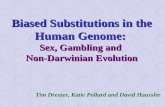 Biased Substitutions in the Human Genome: Sex, Gambling and  Non-Darwinian Evolution