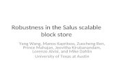 Robustness in the Salus scalable block store
