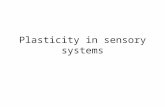 Plasticity in sensory systems