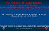 The Impact of Gold Mining  on Mercury Pollution  in the Witwatersrand Basin, South Africa
