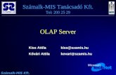 OLAP Server