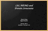 LbL MEMS and Protein Structures