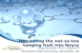 Harvesting the not-so-low hanging fruit into  Noyce