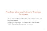 Fiscal and Monetary Policies in Transition Economies