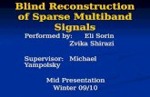 Blind Reconstruction of Sparse Multiband Signals