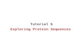 Exploring Protein Sequences