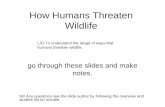How Humans Threaten Wildlife