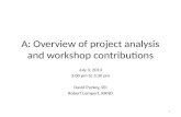 A: Overview of project analysis and workshop contributions
