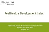 Peel Healthy Development Index
