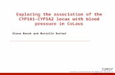 Exploring the association of the CYP1A1-CYP1A2 locus with blood pressure in CoLaus