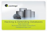 Hacking & Defending Databases Todd DeSantis Technical Pre-Sales Consultant todd@sentrigo