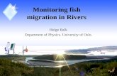 Monitoring fish migration in Rivers