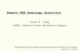 Remote RNA homology detection