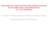ECE AND ECH APPLICATION FOR INVESTIGATION OF PLASMA SELF-ORGANIZATION  IN T-10 TOKAMAK