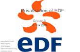 Privatisation of EDF