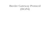 Border Gateway Protocol (BGP4)