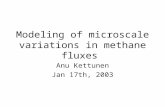 Modeling of microscale variations in methane fluxes