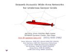 Seaweb Acoustic Wide-Area Networks  for Undersea Sensor Grids