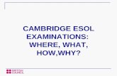 CAMBRIDGE ESOL EXAMINATIONS:  WHERE, WHAT, HOW,WHY?