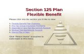 Section 125 Plan Flexible Benefit