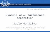 Dynamic wake turbulence separation Saulo  da  Silva