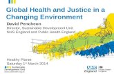 Global Health and Justice in a Changing Environment