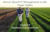 Sensor Based N Management in the Yaqui Valley
