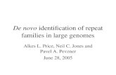 De novo  identification of repeat families in large genomes