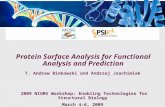 Protein Surface Analysis for Functional Analysis and Prediction